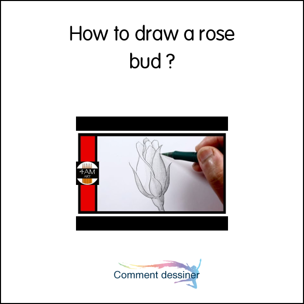 How to draw a rose bud